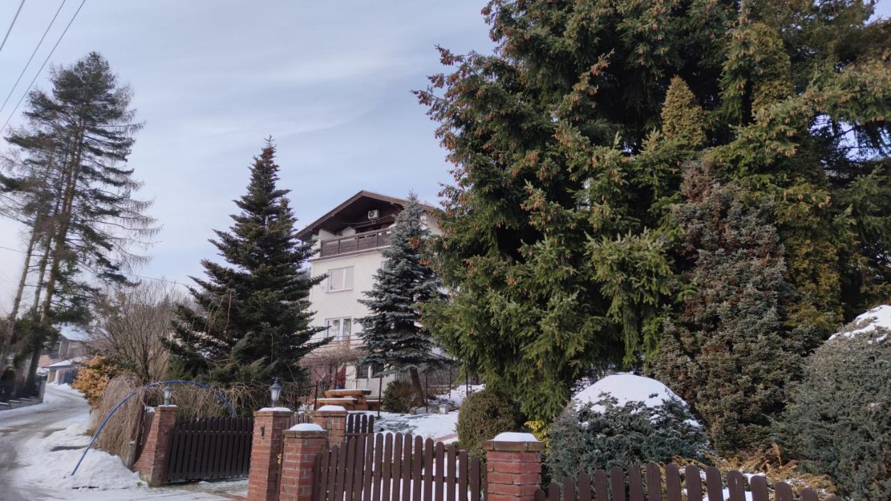 Alfa 2 apartament 3 Bystra  Esterno foto